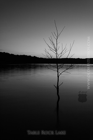 _MG_5277_LR_bw2_print_caption