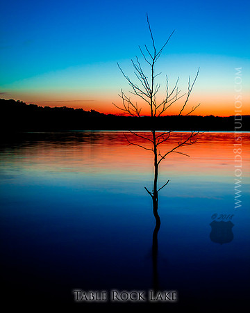 _MG_5277_LR_trl_11_14_caption