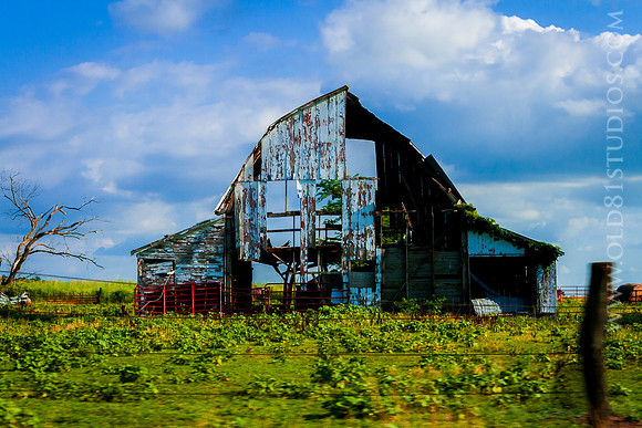_MG_7194_LR_trl