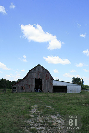 _MG_7433.JPG