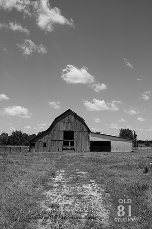 _MG_7424.JPG