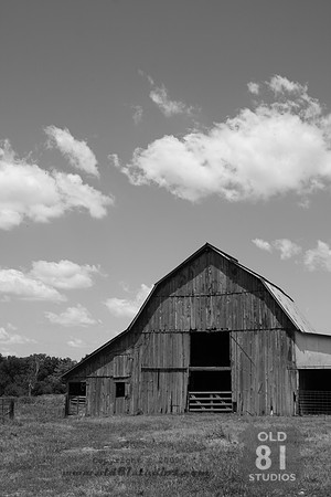 _MG_7361.JPG