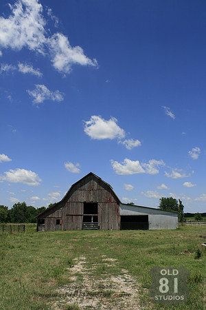 _MG_7423.JPG