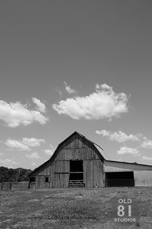 _MG_7359.JPG
