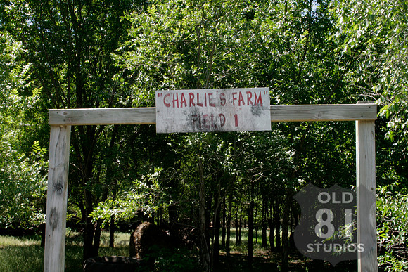 6_2009 028.jpg