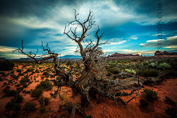 IMG_0899_LR_anp_print
