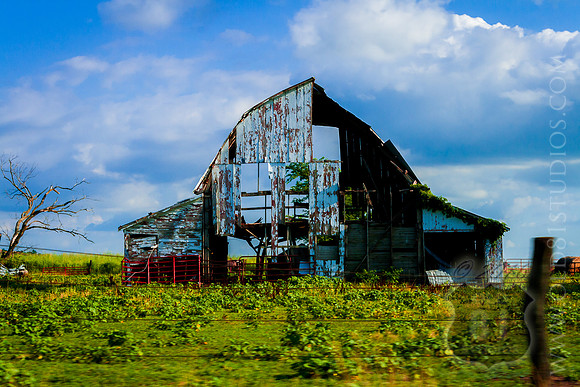 _MG_7194_LR_trl