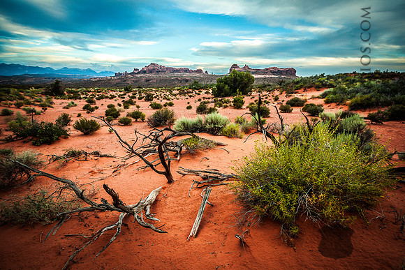IMG_0934_LR_anp_print