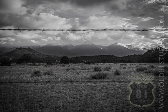 IMG_0700_LR_bw_print