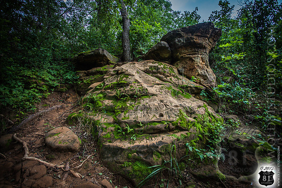 IMG_2042_LR_7f_logo_Inscriptions_on_rocks_with_Moss_and_foliage