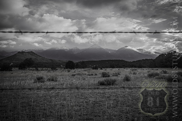IMG_0700_LR_bw_print_mini