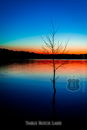 _MG_5277_LR_trl_no_logo_with_caption